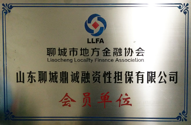 山東聊城鼎誠投資擔保有限公司